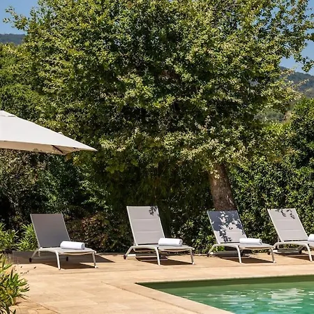 Serenite Villa *